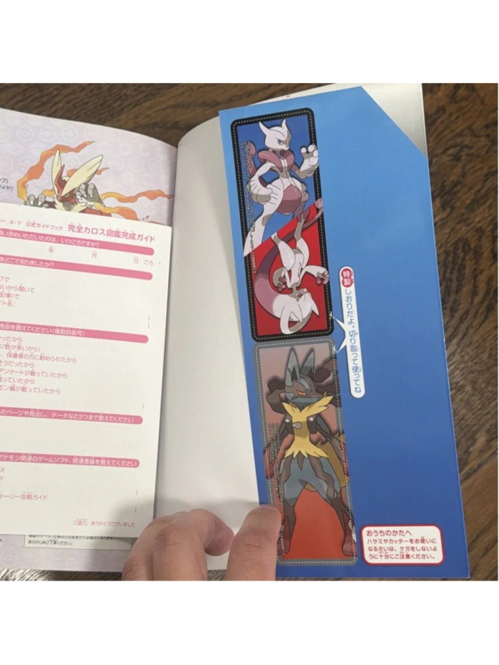 Unbranded pokemon x&y